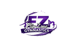 Flip Zone Gymnastics, Physical Education & Sports provider