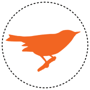 Blackbird and Company, Curriculum provider