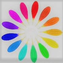 Consciousness Holistic Wellness LLC, Special Needs Resources provider