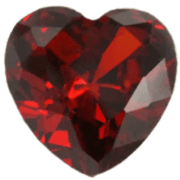 Garnet Heart Wellness, Life Skills provider