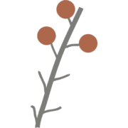 Wild Learning, Curriculum provider