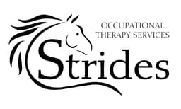 Strides Occupational Therapy Services, Therapy provider